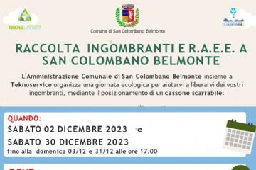 Raccolta 	Ingombranti e  R.A.E.E. 